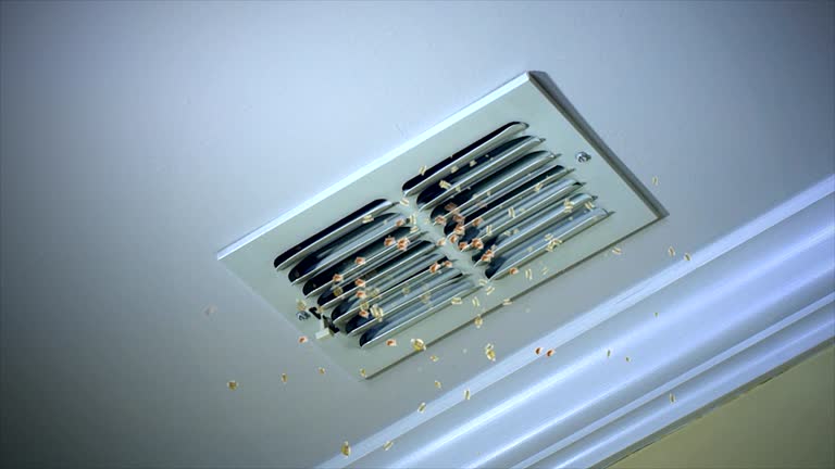 Best Local Air Duct Cleaning Services  in North Wilkesboro, NC