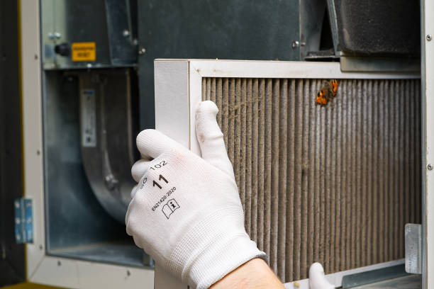 Best Professional Duct Cleaning Services  in North Wilkesboro, NC